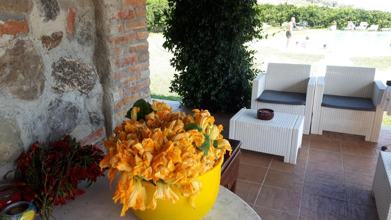 Agriturismo Trappeto Vecchio San Demetrio Corone Exterior foto